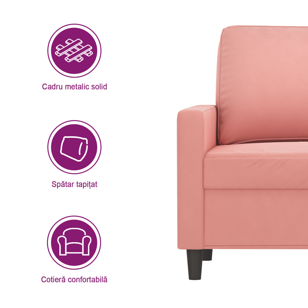 https://www.vidaxl.ro/dw/image/v2/BFNS_PRD/on/demandware.static/-/Library-Sites-vidaXLSharedLibrary/ro/dwe7504132/TextImages/AGD-sofa-velvet-pink-RO.png