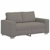 vidaXL Canapea extensibilă gri deschis 160x77x82 cm, material catifea reiată