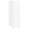 vidaXL Fișet mobil, alb, 28x41x109 cm, metal