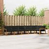 vidaXL Set de canapele de exterior cu pernă 6 pcs Natural și Negru