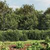 Imagine in miniatură a produsului 2 din 5