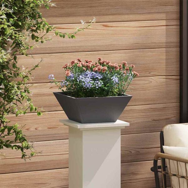 Se afișează imaginea 4 din 12