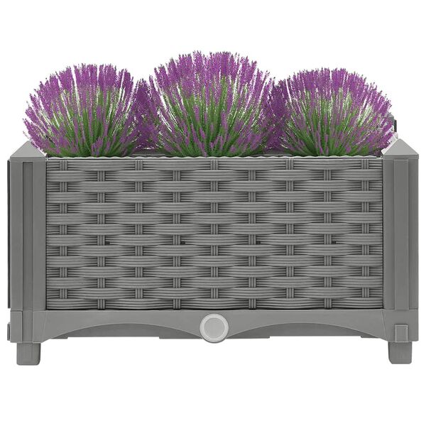 Se afișează imaginea 3 din 8