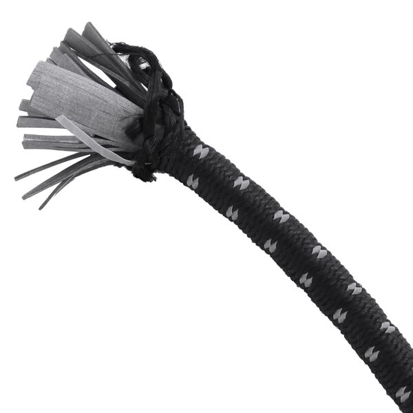 Se afișează imaginea 3 din 6