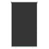 vidaXL Jaluzea tip rulou de exterior 65 (l) x 230 (&icirc;) cm, antracit