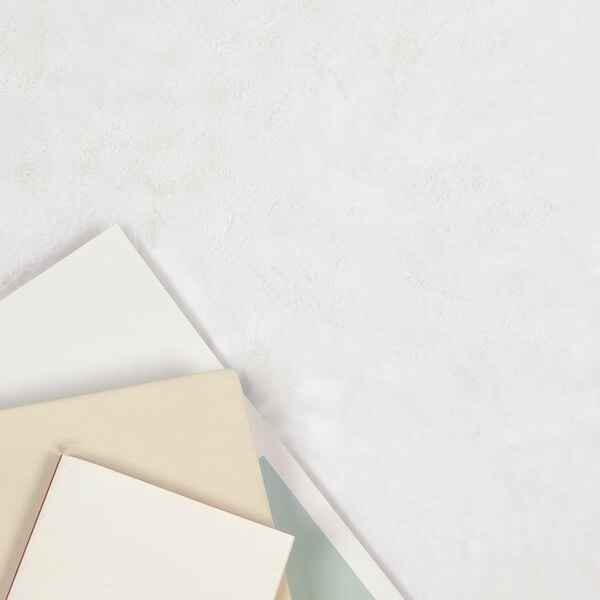 vidaXL Covor din Blană Faux de Iepure Olite Alb 60 x 90 cm Poliester