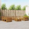 vidaXL Seturi de canapele 10 pcs natural Lemn Solid de Acacia