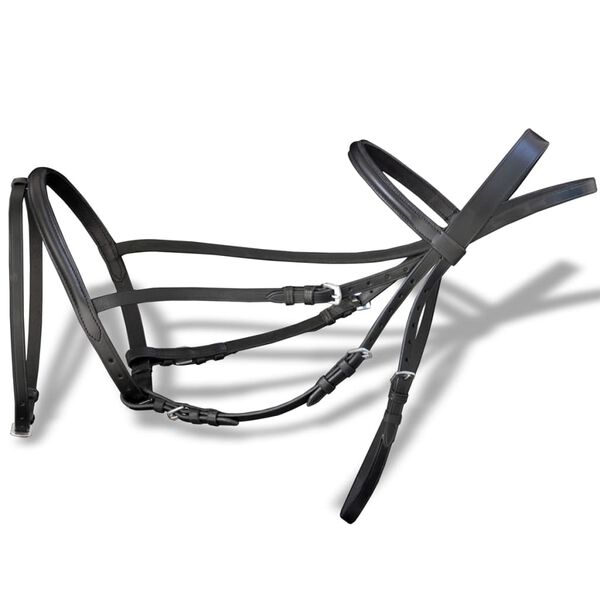 Se afișează imaginea 2 din 8