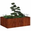 vidaXL Jardinieră Rusty 120x80x40 cm Oțel pentru intemperii