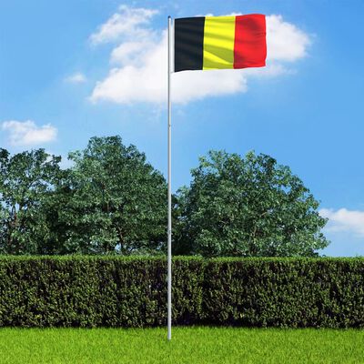 vidaXL Steag Belgia și stâlp din aluminiu, 6 m