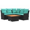 Black_and_turquoise