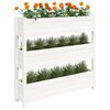 vidaXL Jardinieră, alb, 112x25x104,5 cm, lemn masiv de pin
