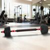 vidaXL Set Haltere și Bară 2 &icirc;n 1 30kg Negru și roșu