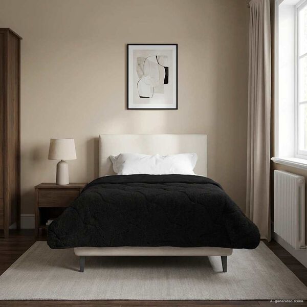 Se afișează imaginea 2 din 10