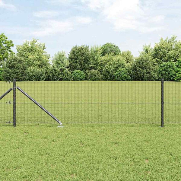 Se afișează imaginea 2 din 16
