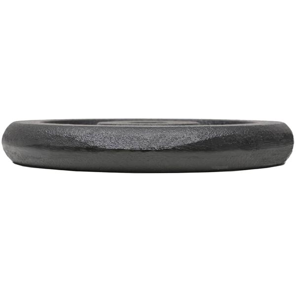 vidaXL Plăci de greutate, 4 buc., 4x5 kg, fontă