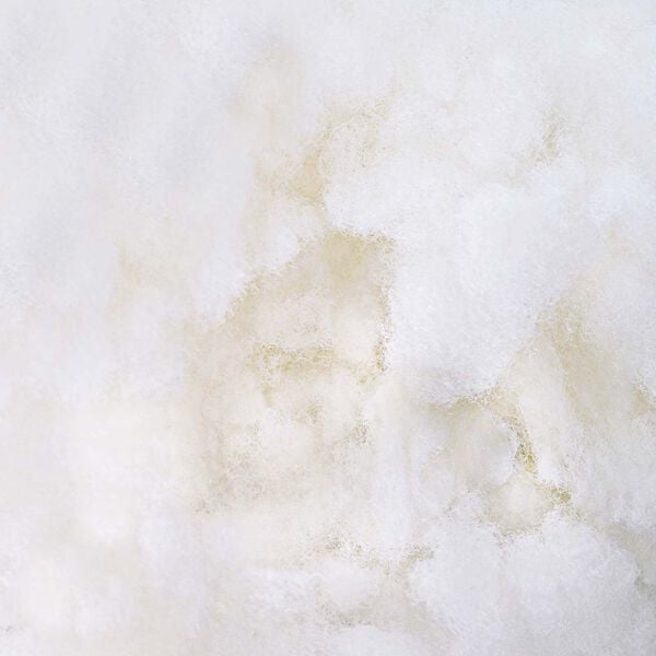 vidaXL Umplutură din fibră Alb 2,5 kg Poliester