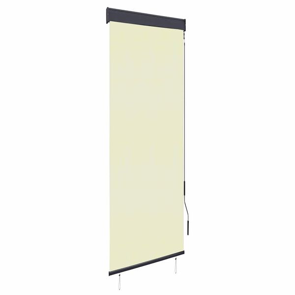 vidaXL Jaluzea tip rulou de exterior, crem, 60 x 250 cm