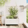 vidaXL Jardinieră de grădină cu raft alb 79x39,5x114 cm lemn masiv pin
