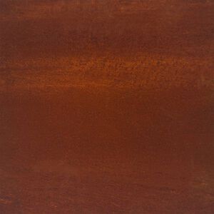 vidaXL Strat &icirc;nălțat de grădină, 100x100x18,5 cm, oțel corten