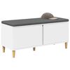 vidaXL Bancă pentru hol cu pernă cu depozitare Alb 60 x 38 x 46 cm