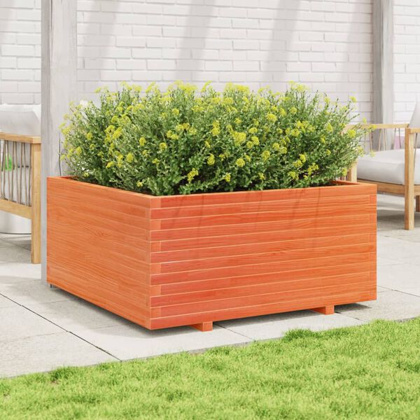 Se afișează imaginea 3 din 10