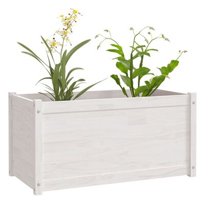 vidaXL Jardinieră de grădină, alb, 100x50x50 cm, lemn masiv de pin