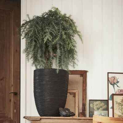 Capi Vas de plante Nature Rib elegant, negru, 36x47 cm, adânc, KBLR782