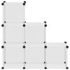 vidaXL Organizator cub de depozitare, 6 cuburi, transparent, PP