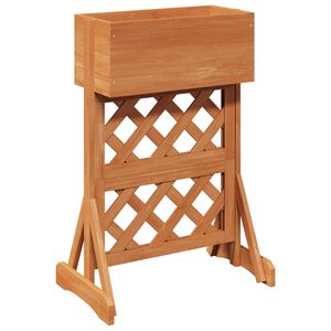 vidaXL Grădină verticală trellis Portocaliu 48 x 30 x 70,5 cm