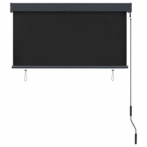 vidaXL Jaluzea tip rulou de exterior, antracit, 120 x 250 cm