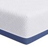 vidaXL Saltea Mediu ferm 70 x 200 cm Alb și albastru
