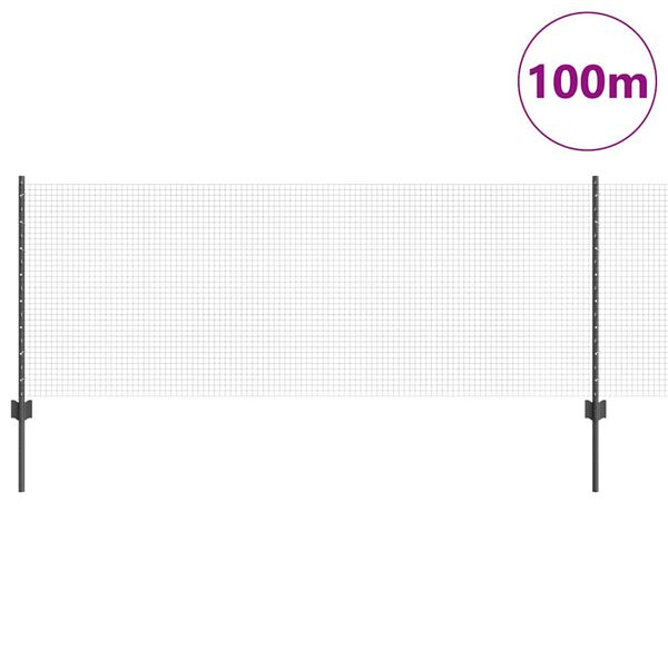 Se afișează imaginea 3 din 13