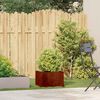vidaXL Jardinieră Rusty 40x40x30 cm Oțel pentru intemperii