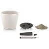 LECHUZA Jardinieră Classico Color 28 ALL-IN-ONE, alb extralucios