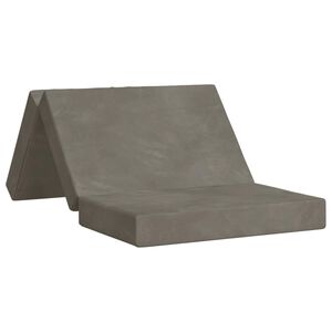 vidaXL Canapea Pat Pliabilă 100 x 67 x 45 cm Gri deschis