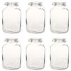 vidaXL Borcane din sticlă cu &icirc;nchidere ermetică, 6 buc., 5 L