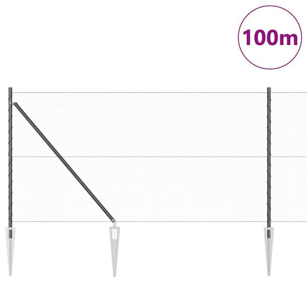 Se afișează imaginea 3 din 16