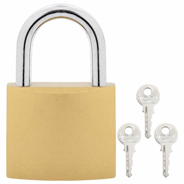 vidaXL U Lock cu Chei 2 pcs Alamă Fier