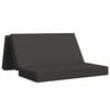 vidaXL Canapea Pat Pliabilă 160 x 67 x 45 cm Gri &icirc;nchis