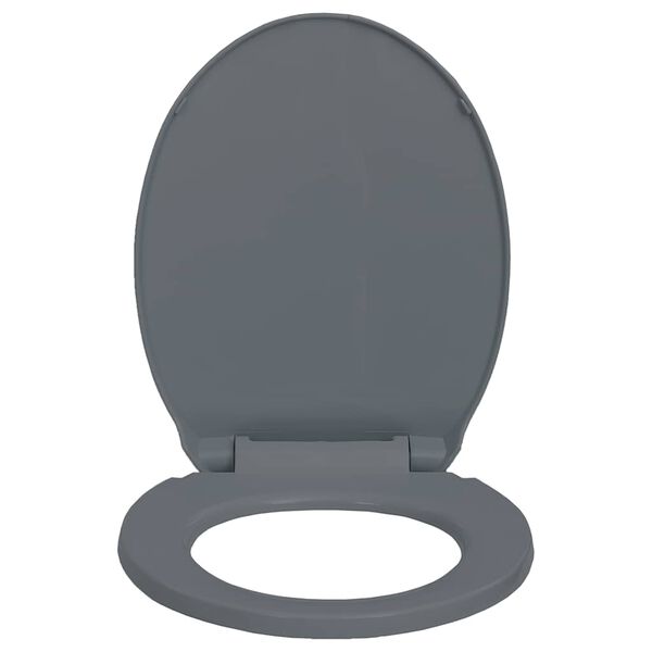 Se afișează imaginea 4 din 10