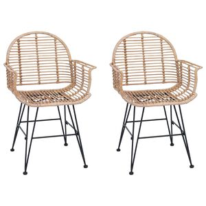 vidaXL Scaun de sufragerie 2 pcs Ratan și Fier natural 57 x 55 x 85 cm