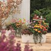 Imagine in miniatură a produsului 5 din 7
