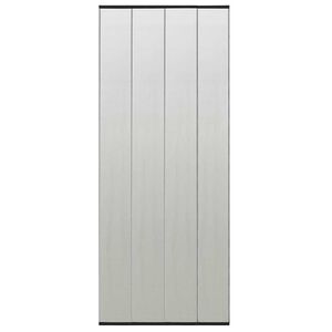 vidaXL Paravan antiinsecte cu perdea plasă neagră 100x220 cm poliester