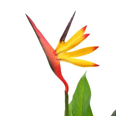 vidaXL Plantă artificială Strelitzia Reginae Pasărea paradisului 66 cm