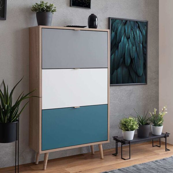 Finori Dulap de pantofi "C-uba 42", stejar sonoma și tricolor