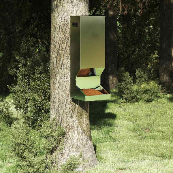 Se afișează imaginea 2 din 15