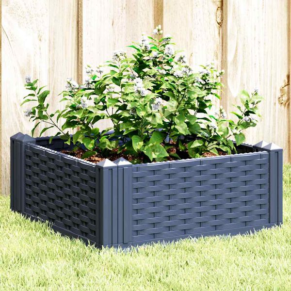 Se afișează imaginea 2 din 8