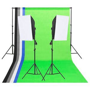 vidaXL Kit de iluminat pentru studio cu fundaluri și softbox-uri