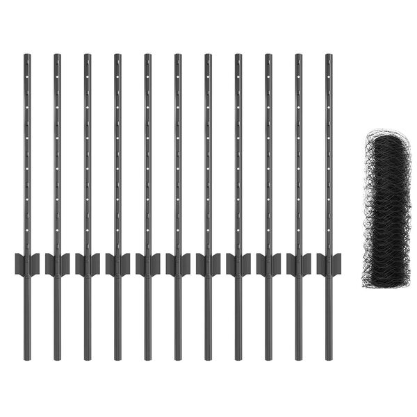 Se afișează imaginea 4 din 11